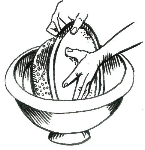 MakingYourOwnCheese
