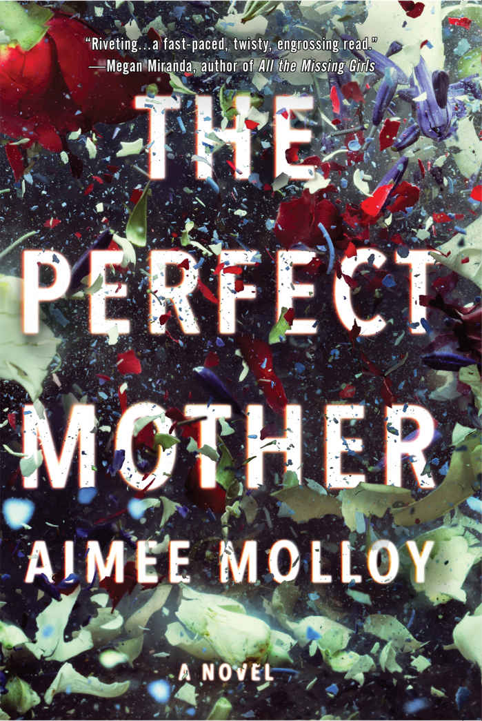 ThePerfectMother