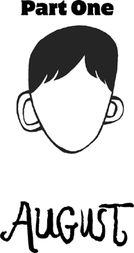 Wonder