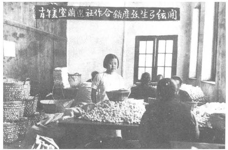 江村经济